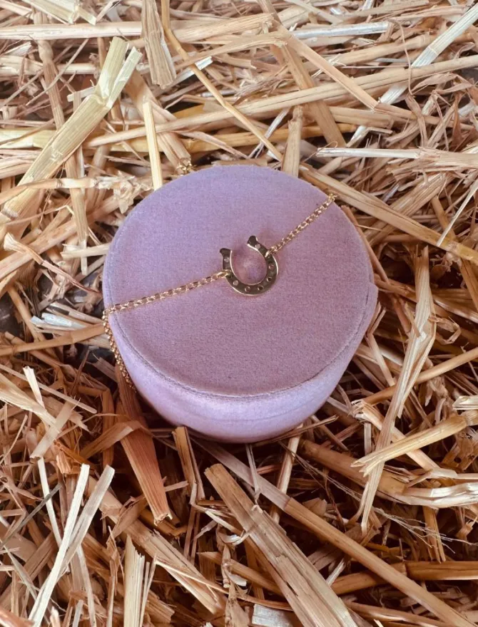 Hoefijzer Armband Goud