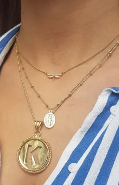 Symbool Ketting Dragonfly