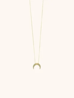Symbool Ketting Haaientand