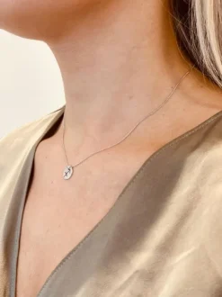 Zilveren Ketting Zodiac S
